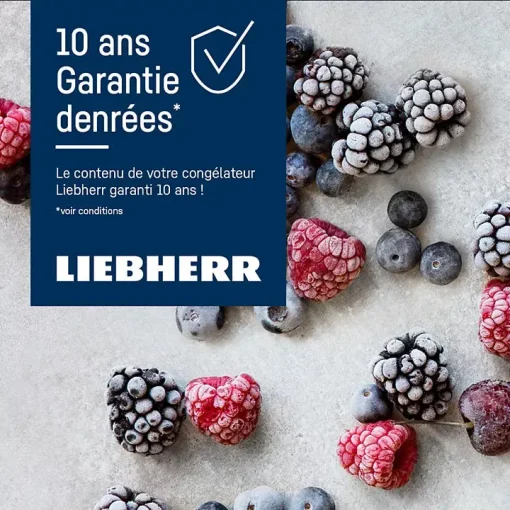 Congélateur top LIEBHERR FNdi1624 - Image 4