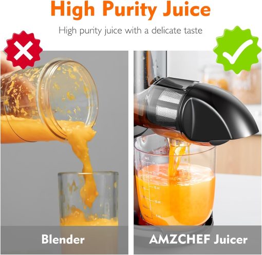 AMZCHEF Extracteur Jus - Extracteur de Jus de Fruits et Légumes - Presses-agrumes à Froid sans BPA avec 2 Tasses et Brosse - Fonction de Mastication Inversée pour éviter les Blocages - Argent - Image 43