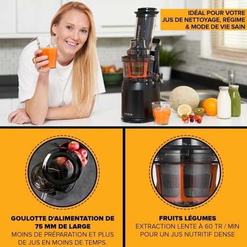 Slow Chewing, Slow Juicer, Fresh and Healthy Juice, Sorbet, Ice Cream, Mouth 75 mm, BPA Free, 240 Watts, Cold Pressure, Stainless Steel Black Fridja f1900 - Image 14