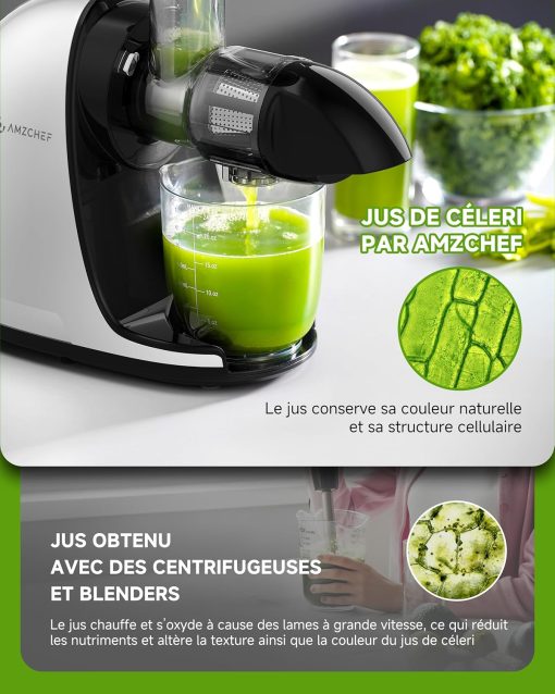 AMZCHEF Extracteur Jus - Extracteur de Jus de Fruits et Légumes - Presses-agrumes à Froid sans BPA avec 2 Tasses et Brosse - Fonction de Mastication Inversée pour éviter les Blocages - Argent - Image 11