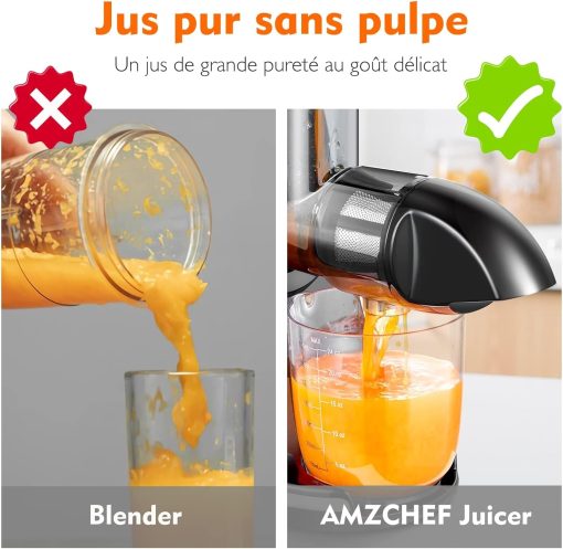 AMZCHEF Extracteur Jus - Extracteur de Jus de Fruits et Légumes - Presses-agrumes à Froid sans BPA avec 2 Tasses et Brosse - Fonction de Mastication Inversée pour éviter les Blocages - Argent - Image 50