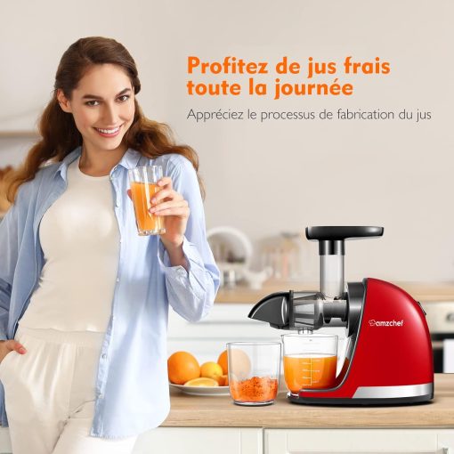 AMZCHEF Extracteur Jus - Extracteur de Jus de Fruits et Légumes - Presses-agrumes à Froid sans BPA avec 2 Tasses et Brosse - Fonction de Mastication Inversée pour éviter les Blocages - Argent - Image 29