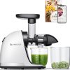 AMZCHEF Extracteur Jus - Extracteur de Jus de Fruits et Légumes - Presses-agrumes à Froid sans BPA avec 2 Tasses et Brosse - Fonction de Mastication Inversée pour éviter les Blocages - Argent