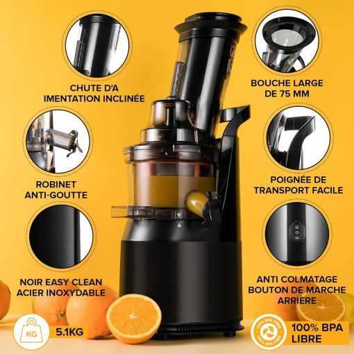Slow Chewing, Slow Juicer, Fresh and Healthy Juice, Sorbet, Ice Cream, Mouth 75 mm, BPA Free, 240 Watts, Cold Pressure, Stainless Steel Black Fridja f1900 - Image 10
