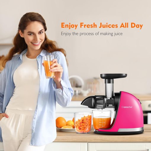 AMZCHEF Extracteur Jus - Extracteur de Jus de Fruits et Légumes - Presses-agrumes à Froid sans BPA avec 2 Tasses et Brosse - Fonction de Mastication Inversée pour éviter les Blocages - Argent - Image 40