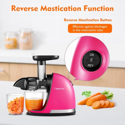 AMZCHEF Extracteur Jus - Extracteur de Jus de Fruits et Légumes - Presses-agrumes à Froid sans BPA avec 2 Tasses et Brosse - Fonction de Mastication Inversée pour éviter les Blocages - Argent - Image 46