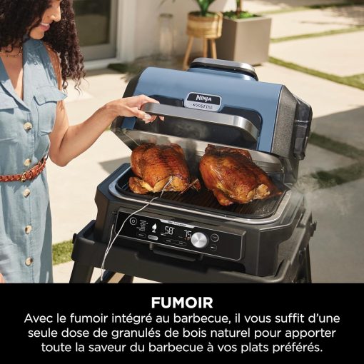 Ninja Woodfire Barbecue électrique et fumoir Pro XL avec thermomètre, barbecue et Air fryer d'extérieur 4-en-1 avec système Smart Cook et granulés Woodfire, portatif, gris/noir, OG850EU - Image 15