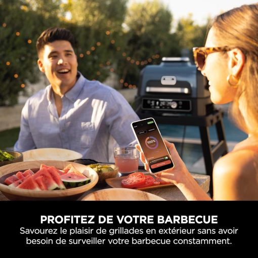 Ninja Woodfire Barbecue électrique et fumoir Pro XL avec thermomètre, barbecue et Air fryer d'extérieur 4-en-1 avec système Smart Cook et granulés Woodfire, portatif, gris/noir, OG850EU - Image 13